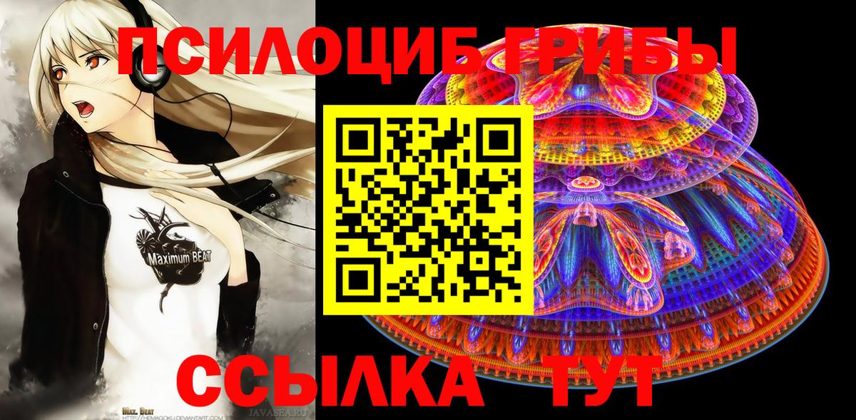 Псилоцибиновые грибы Коммунар
